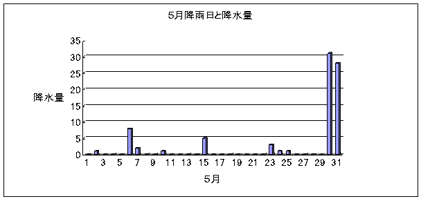 グラフ１．５月の降雨日と降水量