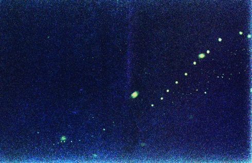 飛翔しながら発光するヒメボタルのオス